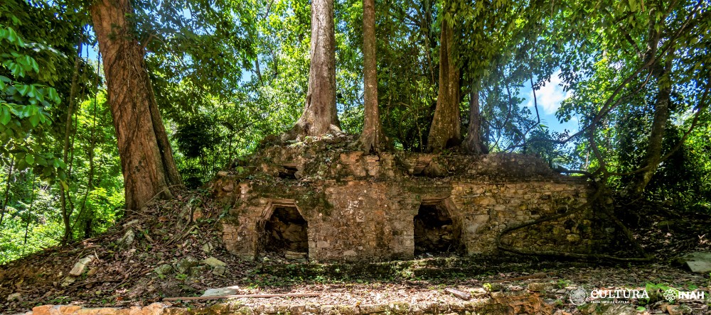 Concluyó la consolidación del Grupo IV de la Zona Arqueológica de Palenque, próximo a abrirse al público. Foto: Daniel Santaella. INAH