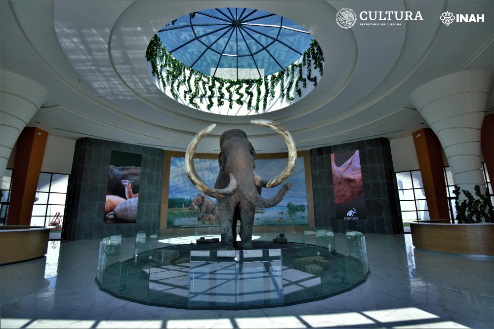 “Tierra de gigantes” iniciará este sábado 10, a las 11:20 horas, con la ceremonia de inauguración y recorrido guiado de tres exposiciones. Foto: Mauricio Marat. INAH