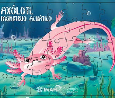 Axolotl